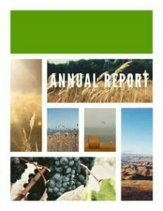 Make an annual report